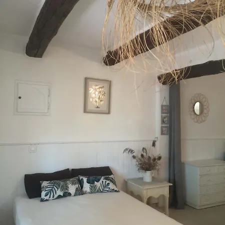 Grand Avec Jardin A Saint-aygulf *